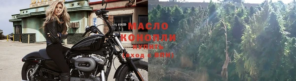спайс Горняк