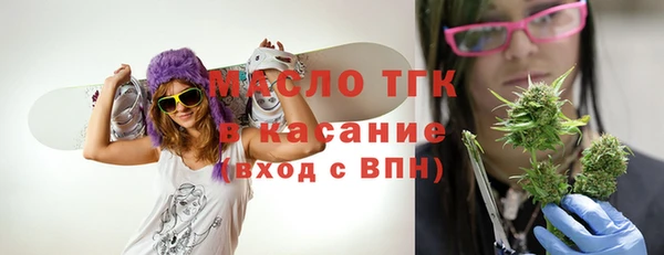 индика Горнозаводск