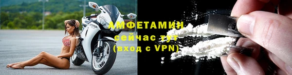 индика Горнозаводск