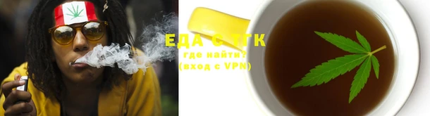 индика Горнозаводск
