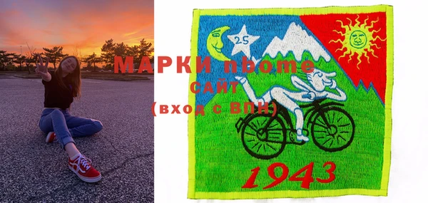 индика Горнозаводск