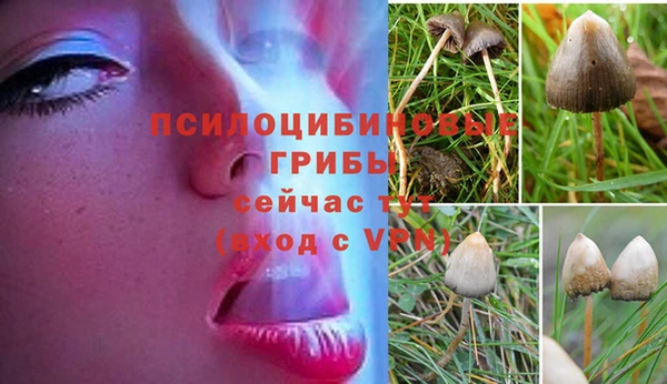 спайс Горняк