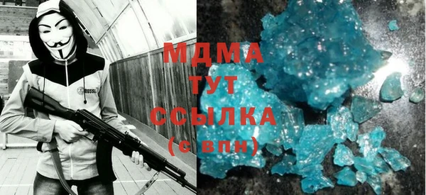 индика Горнозаводск