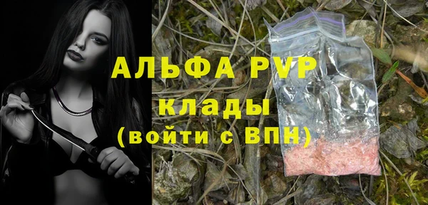 индика Горнозаводск