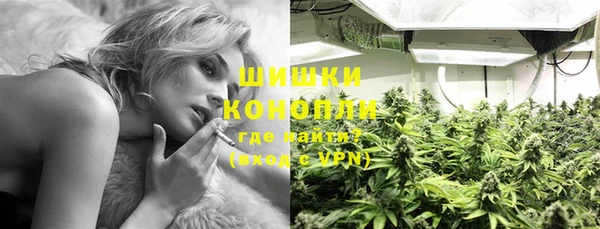 индика Горнозаводск