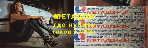 индика Горнозаводск