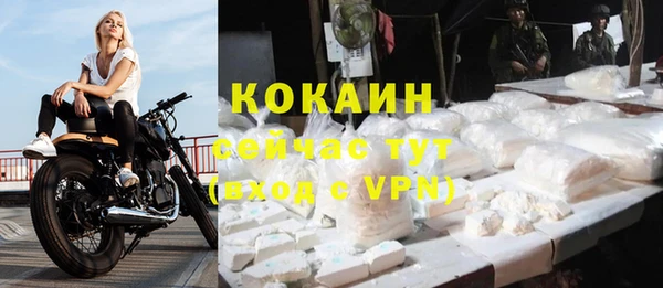 индика Горнозаводск