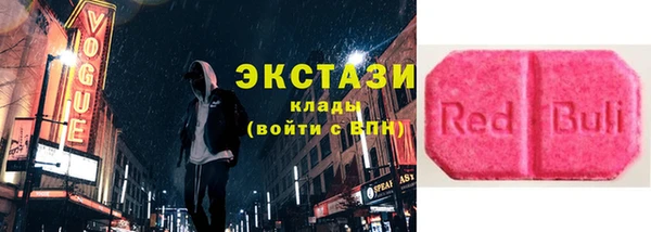 индика Горнозаводск