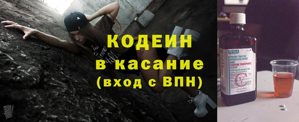 индика Горнозаводск